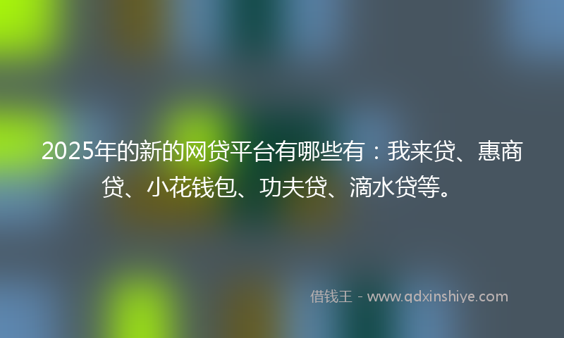 2025年的新的网贷平台有哪些有：我来贷、惠商贷、小花钱包、功夫贷、滴水贷等。