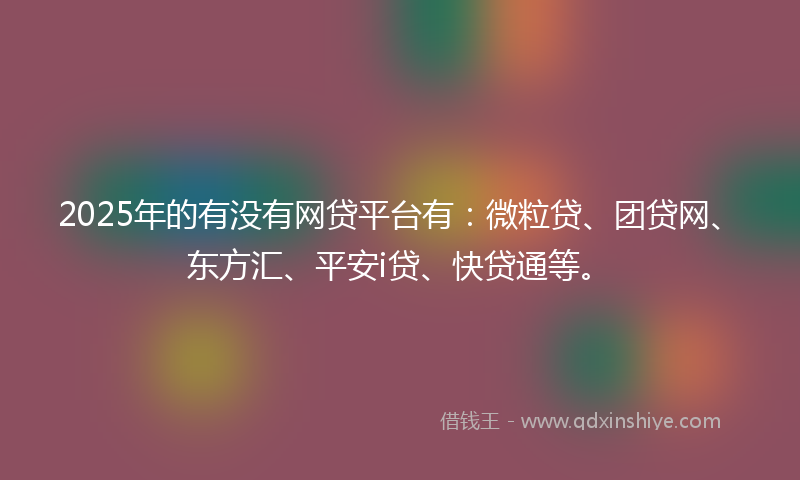 2025年的有没有网贷平台有：微粒贷、团贷网、东方汇、平安i贷、快贷通等。