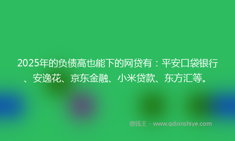 2025年的负债高也能下的网贷有：平安口袋银行、安逸花、京东金融、小米贷款、东方汇等。