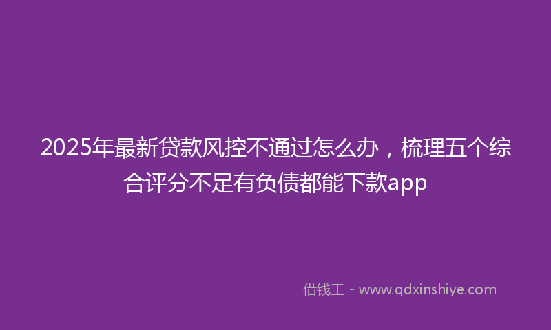 2025年最新贷款风控不通过怎么办，梳理五个综合评分不足有负债都能下款app