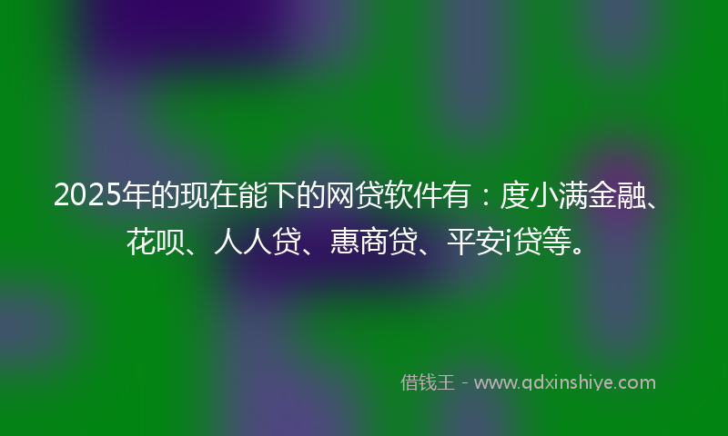 2025年的现在能下的网贷软件有：度小满金融、花呗、人人贷、惠商贷、平安i贷等。