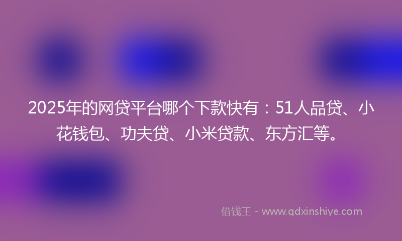 2025年的网贷平台哪个下款快有：51人品贷、小花钱包、功夫贷、小米贷款、东方汇等。