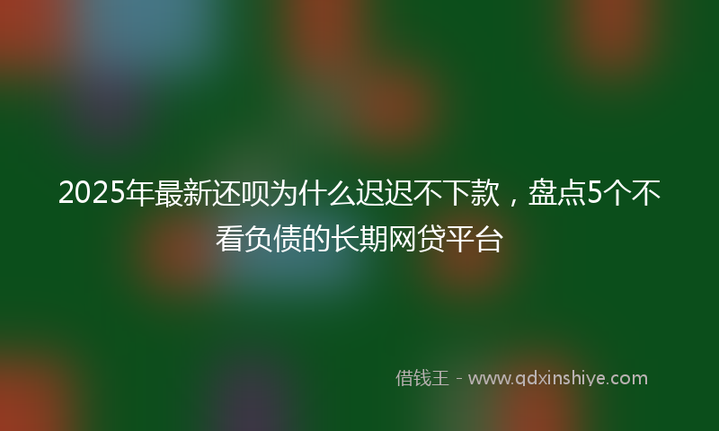 2025年最新还呗为什么迟迟不下款，盘点5个不看负债的长期网贷平台
