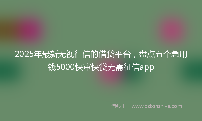 2025年最新无视征信的借贷平台，盘点五个急用钱5000快审快贷无需征信app