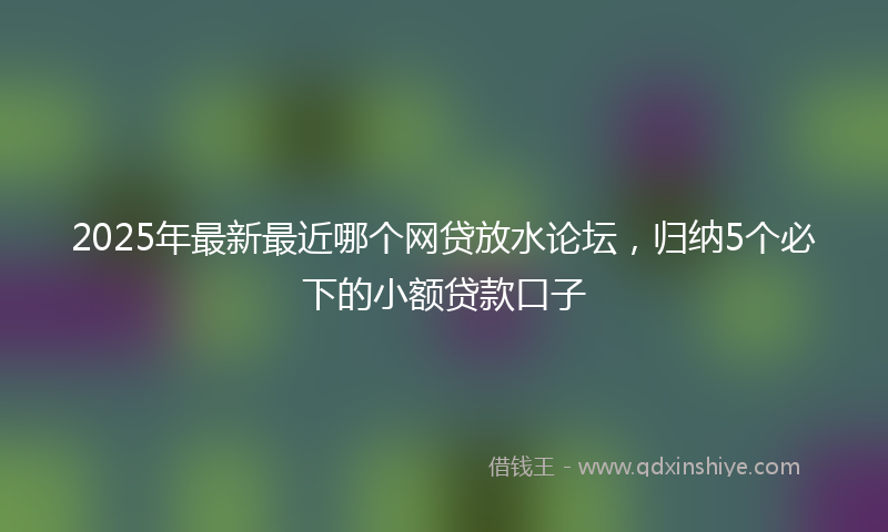 2025年最新最近哪个网贷放水论坛，归纳5个必下的小额贷款口子