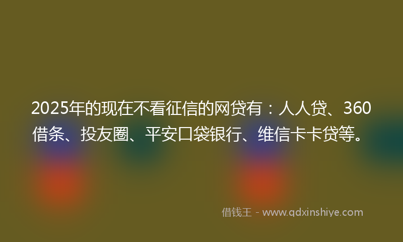 2025年的现在不看征信的网贷有：人人贷、360借条、投友圈、平安口袋银行、维信卡卡贷等。