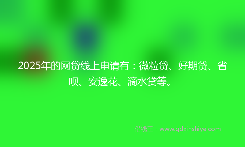 2025年的网贷线上申请有：微粒贷、好期贷、省呗、安逸花、滴水贷等。