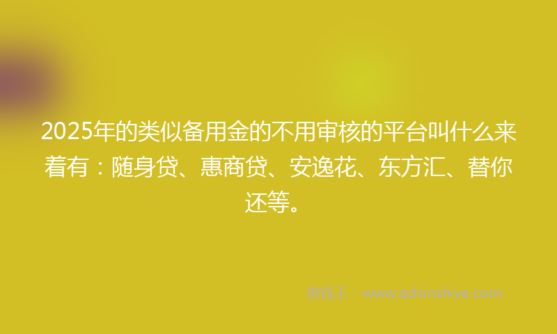2025年的类似备用金的不用审核的平台叫什么来着有：随身贷、惠商贷、安逸花、东方汇、替你还等。