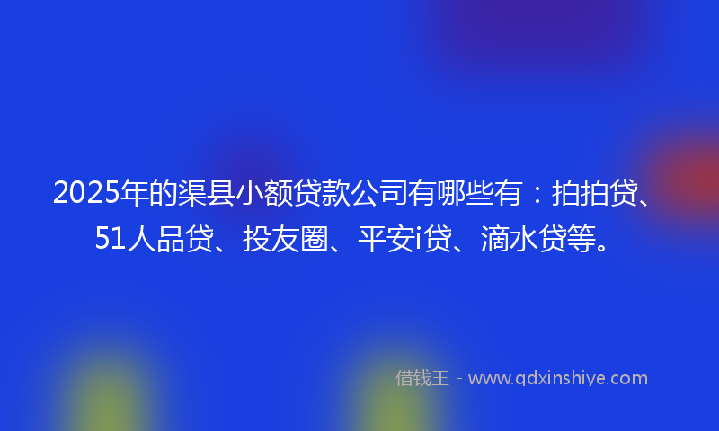 2025年的渠县小额贷款公司有哪些有：拍拍贷、51人品贷、投友圈、平安i贷、滴水贷等。