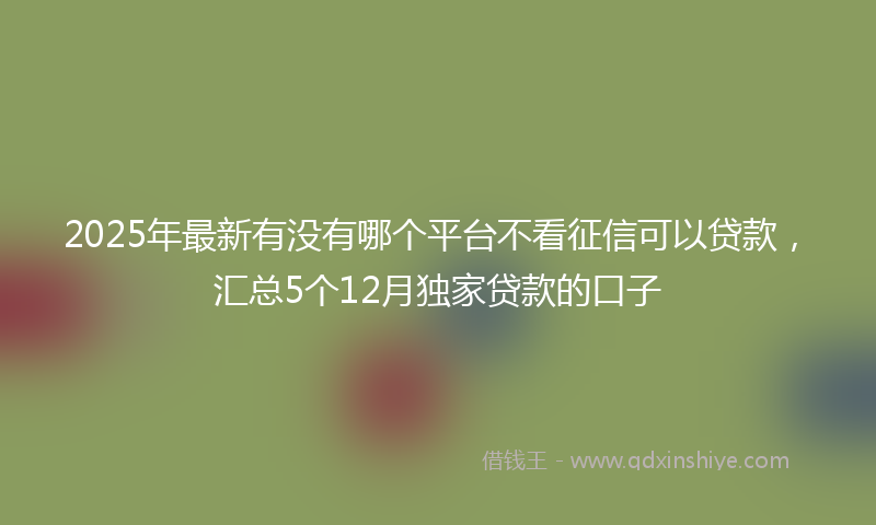 2025年最新有没有哪个平台不看征信可以贷款，汇总5个12月独家贷款的口子