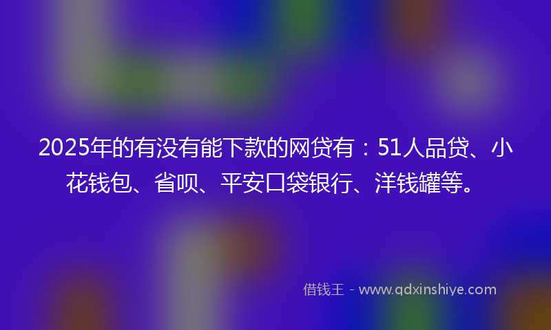 2025年的有没有能下款的网贷有：51人品贷、小花钱包、省呗、平安口袋银行、洋钱罐等。