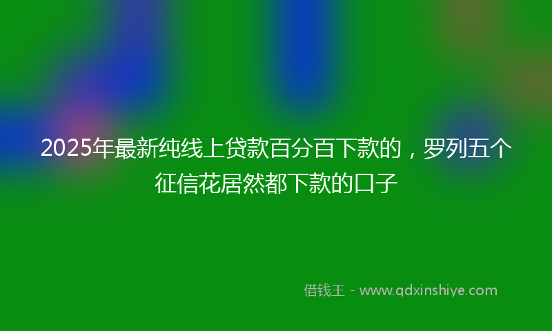 2025年最新纯线上贷款百分百下款的，罗列五个征信花居然都下款的口子