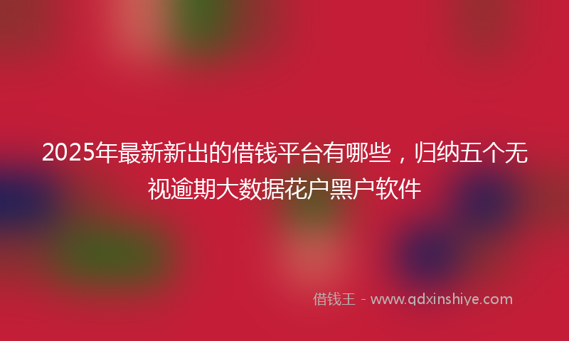 2025年最新新出的借钱平台有哪些，归纳五个无视逾期大数据花户黑户软件