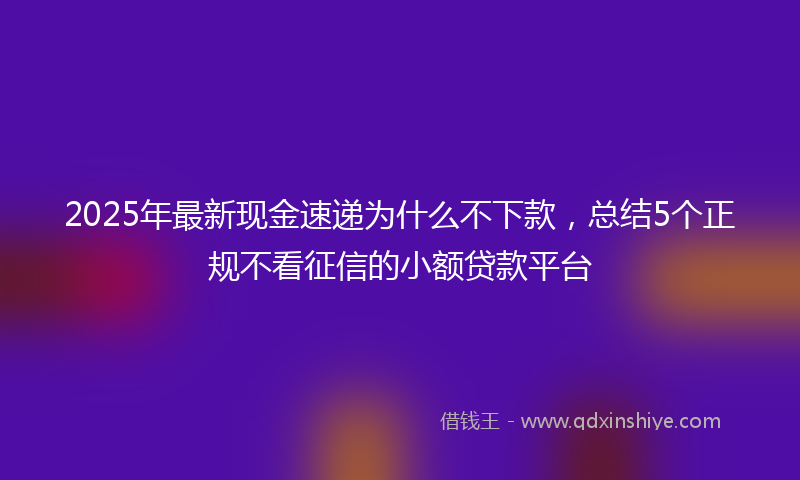 2025年最新现金速递为什么不下款，总结5个正规不看征信的小额贷款平台