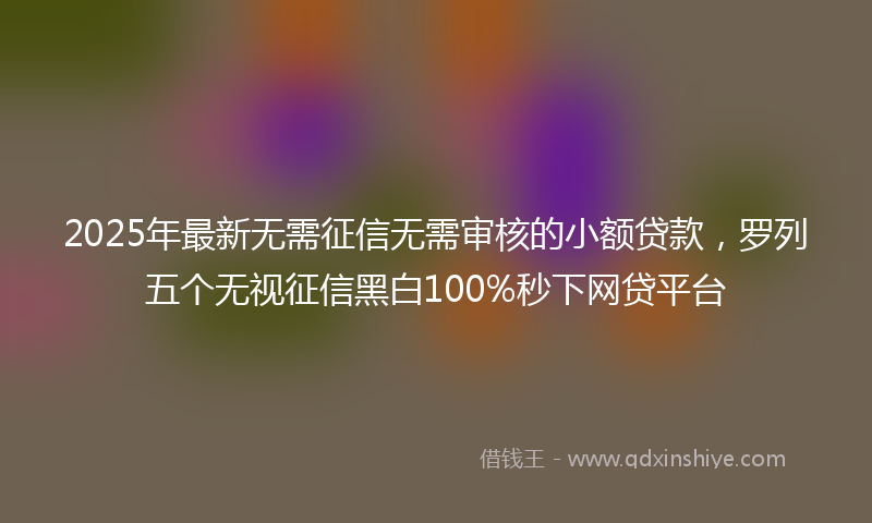 2025年最新无需征信无需审核的小额贷款，罗列五个无视征信黑白100%秒下网贷平台