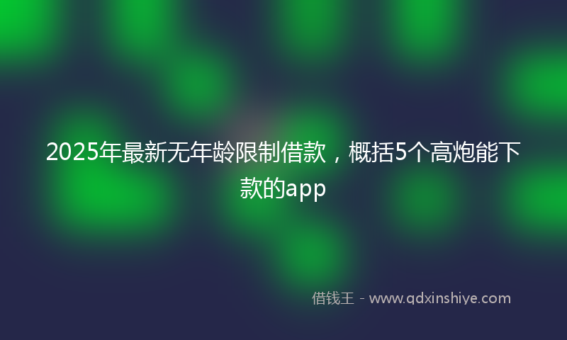 2025年最新无年龄限制借款，概括5个高炮能下款的app