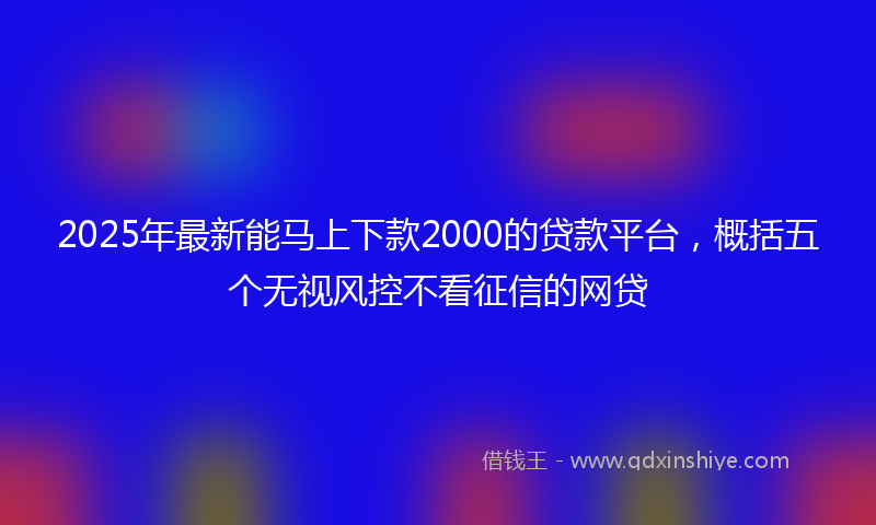 2025年最新能马上下款2000的贷款平台，概括五个无视风控不看征信的网贷