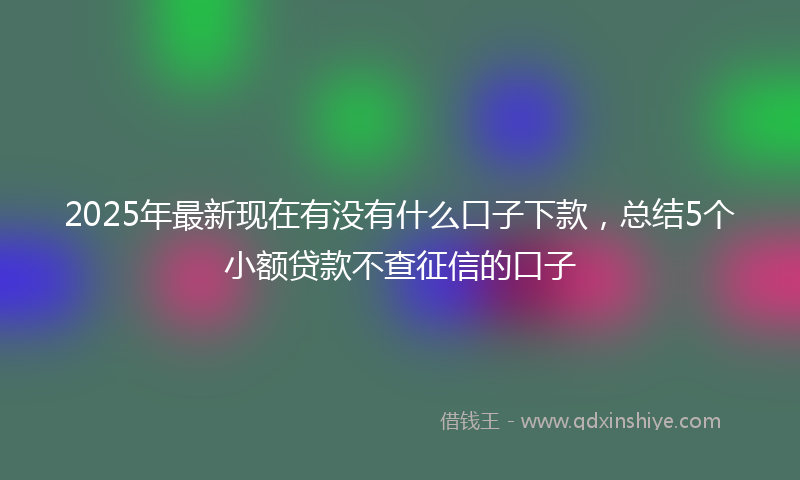 2025年最新现在有没有什么口子下款，总结5个小额贷款不查征信的口子