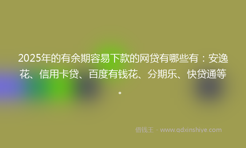 2025年的有余期容易下款的网贷有哪些有：安逸花、信用卡贷、百度有钱花、分期乐、快贷通等。