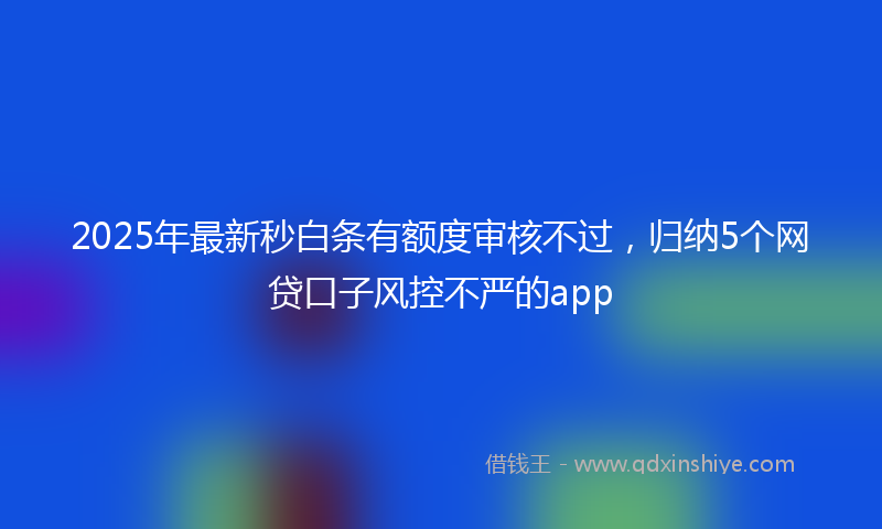 2025年最新秒白条有额度审核不过，归纳5个网贷口子风控不严的app