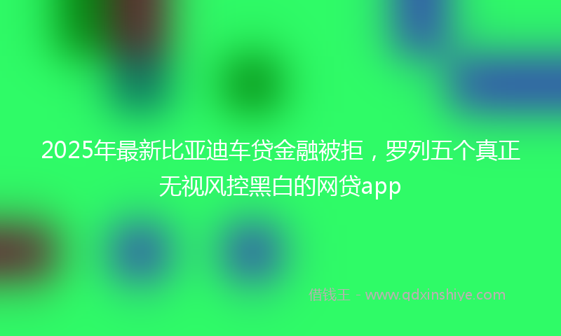 2025年最新比亚迪车贷金融被拒，罗列五个真正无视风控黑白的网贷app