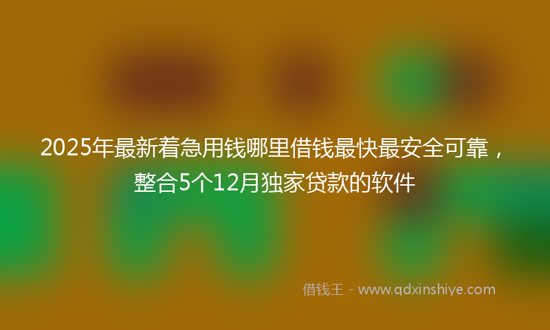 2025年最新着急用钱哪里借钱最快最安全可靠，整合5个12月独家贷款的软件