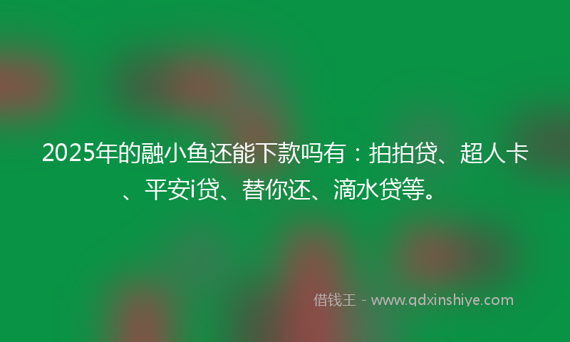 2025年的融小鱼还能下款吗有：拍拍贷、超人卡、平安i贷、替你还、滴水贷等。