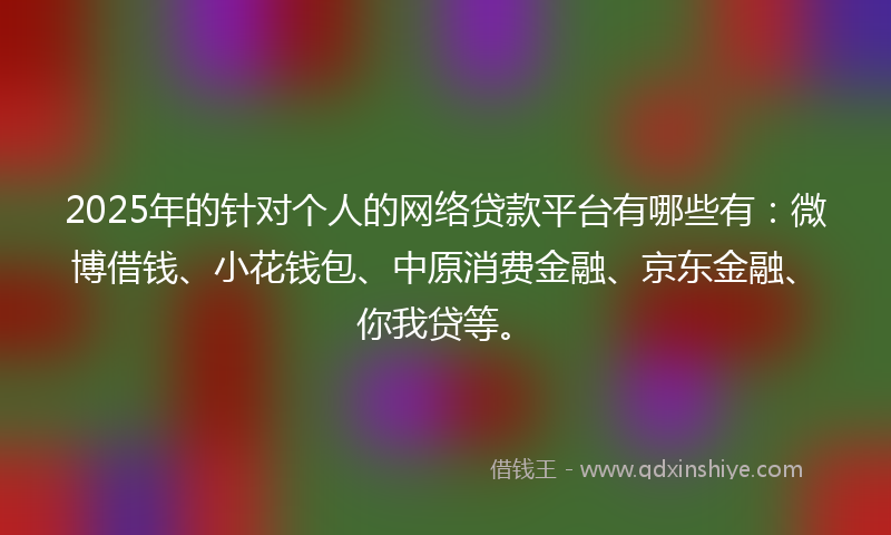 2025年的针对个人的网络贷款平台有哪些有：微博借钱、小花钱包、中原消费金融、京东金融、你我贷等。
