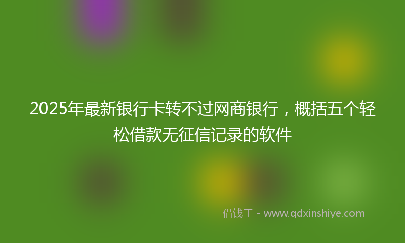 2025年最新银行卡转不过网商银行，概括五个轻松借款无征信记录的软件