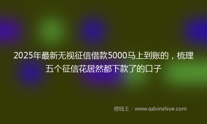 2025年最新无视征信借款5000马上到账的，梳理五个征信花居然都下款了的口子