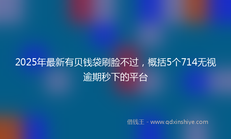 2025年最新有贝钱袋刷脸不过，概括5个714无视逾期秒下的平台