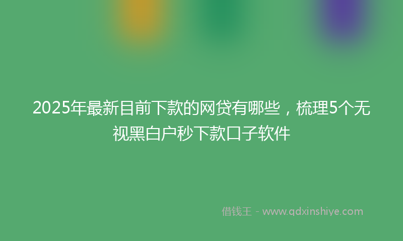 2025年最新目前下款的网贷有哪些，梳理5个无视黑白户秒下款口子软件