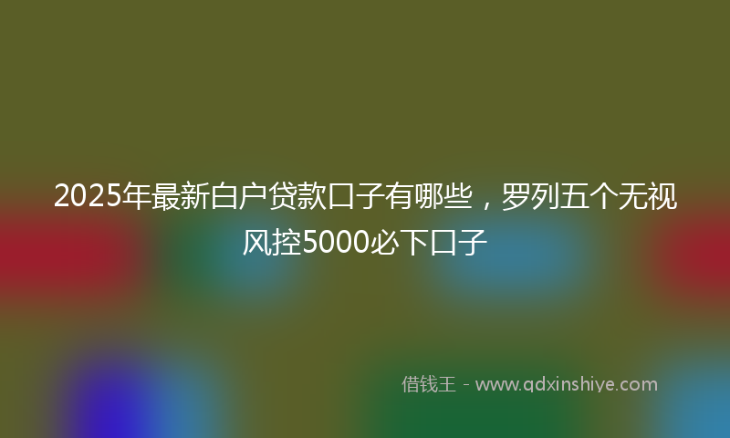 2025年最新白户贷款口子有哪些，罗列五个无视风控5000必下口子