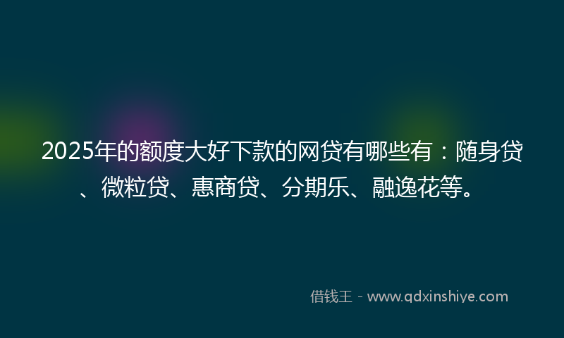 2025年的额度大好下款的网贷有哪些有：随身贷、微粒贷、惠商贷、分期乐、融逸花等。