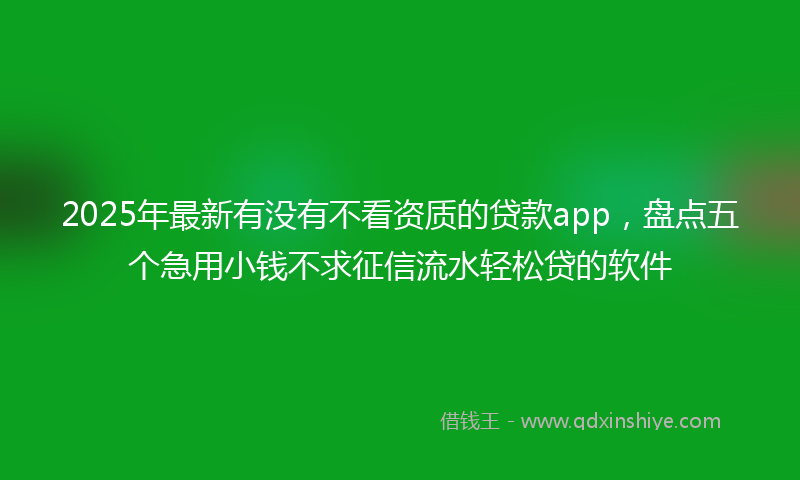 2025年最新有没有不看资质的贷款app，盘点五个急用小钱不求征信流水轻松贷的软件
