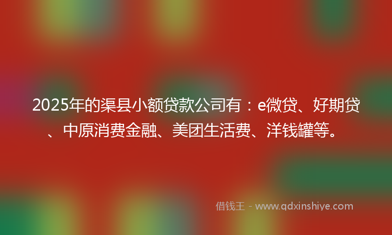 2025年的渠县小额贷款公司有：e微贷、好期贷、中原消费金融、美团生活费、洋钱罐等。
