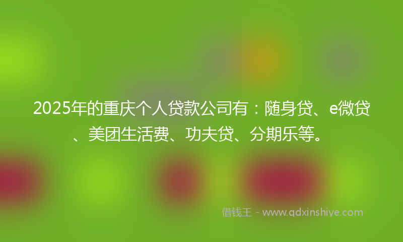 2025年的重庆个人贷款公司有：随身贷、e微贷、美团生活费、功夫贷、分期乐等。