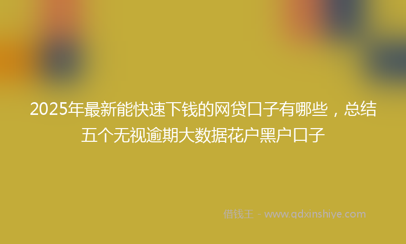 2025年最新能快速下钱的网贷口子有哪些，总结五个无视逾期大数据花户黑户口子