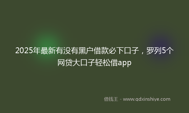 2025年最新有没有黑户借款必下口子，罗列5个网贷大口子轻松借app