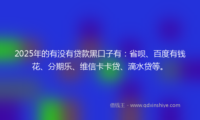 2025年的有没有贷款黑口子有：省呗、百度有钱花、分期乐、维信卡卡贷、滴水贷等。