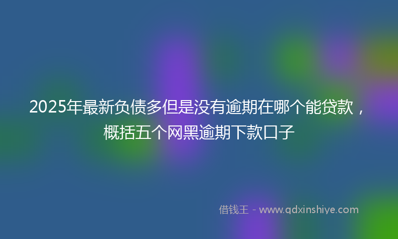 2025年最新负债多但是没有逾期在哪个能贷款，概括五个网黑逾期下款口子