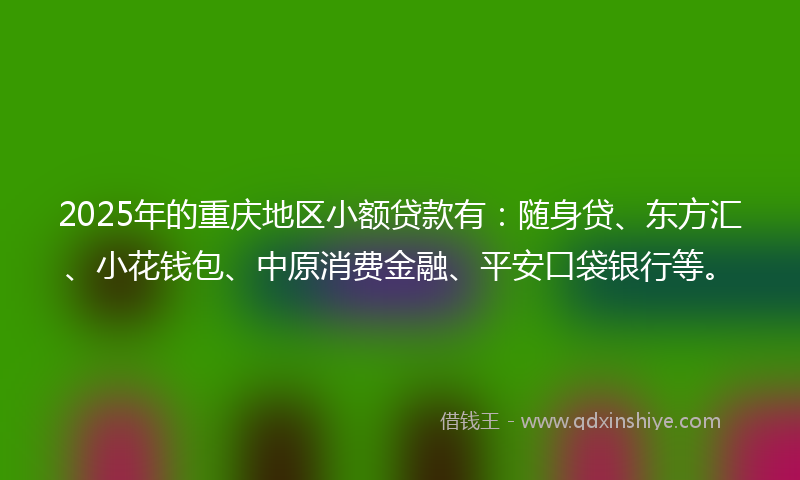 2025年的重庆地区小额贷款有：随身贷、东方汇、小花钱包、中原消费金融、平安口袋银行等。