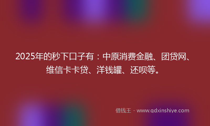 2025年的秒下口子有：中原消费金融、团贷网、维信卡卡贷、洋钱罐、还呗等。
