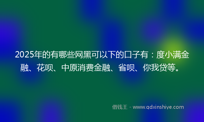 2025年的有哪些网黑可以下的口子有：度小满金融、花呗、中原消费金融、省呗、你我贷等。