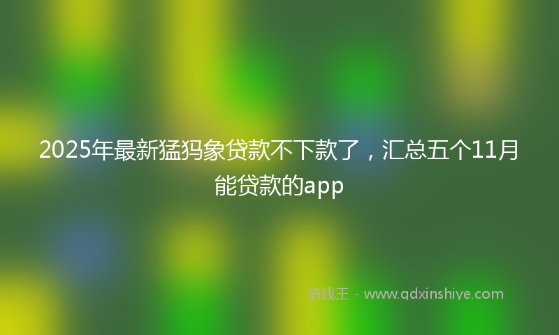 2025年最新猛犸象贷款不下款了，汇总五个11月能贷款的app
