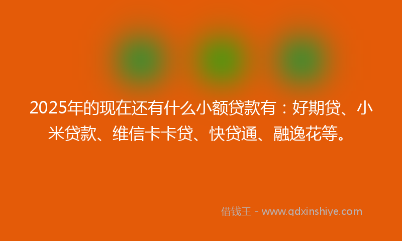 2025年的现在还有什么小额贷款有：好期贷、小米贷款、维信卡卡贷、快贷通、融逸花等。