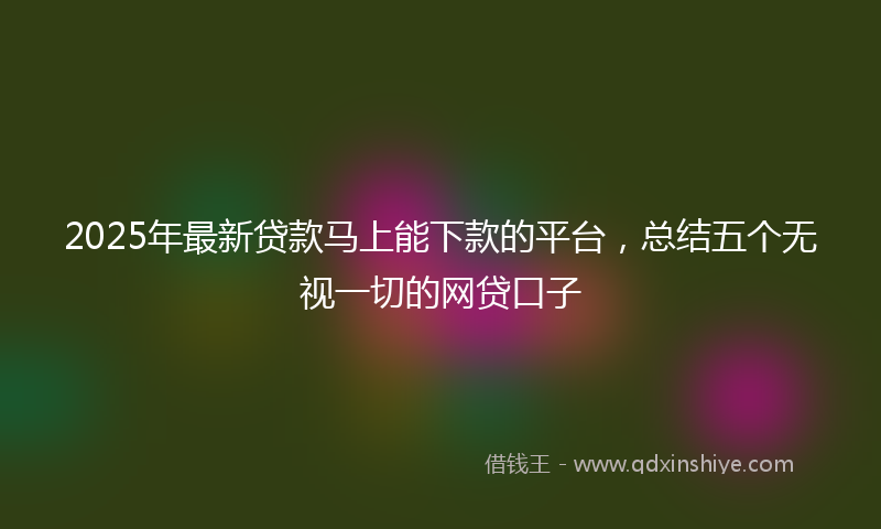 2025年最新贷款马上能下款的平台，总结五个无视一切的网贷口子