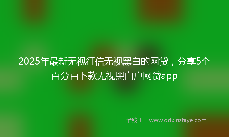 2025年最新无视征信无视黑白的网贷，分享5个百分百下款无视黑白户网贷app