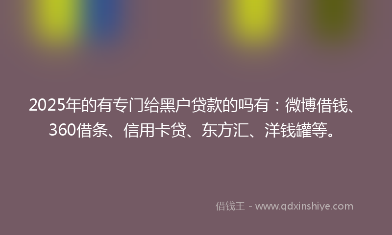 2025年的有专门给黑户贷款的吗有：微博借钱、360借条、信用卡贷、东方汇、洋钱罐等。