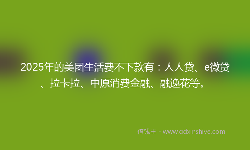 2025年的美团生活费不下款有：人人贷、e微贷、拉卡拉、中原消费金融、融逸花等。